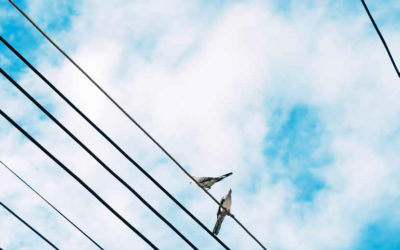 Fyra framtider Energisystemet efter 2020