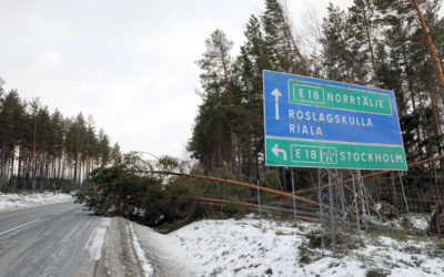 Logistiken sattes på prov efter stormen Alfrida