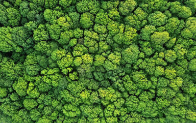 Ecovadis ger Elektroskandia högsta betyg inom hållbarhetsarbete