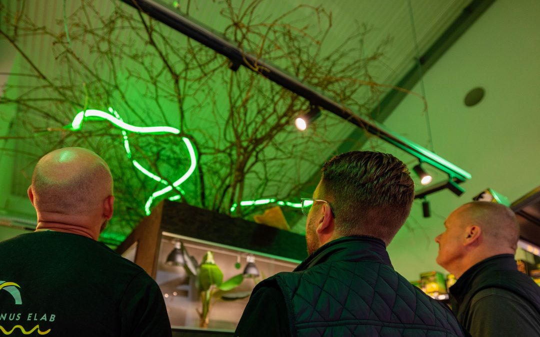 Belysning utöver det vanliga till Zoogiganten