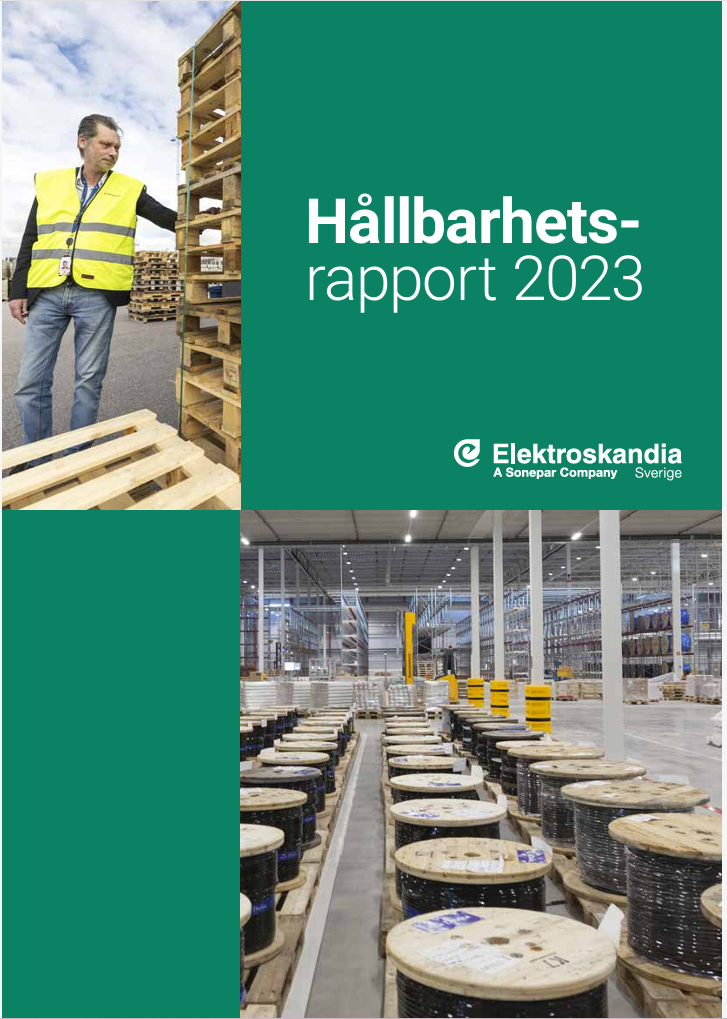 Skärmbild 2024-06-17 104936